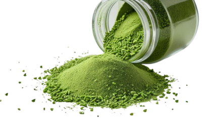 Ochucovací směs s příchutí Zelená cibulka 0,5 kg